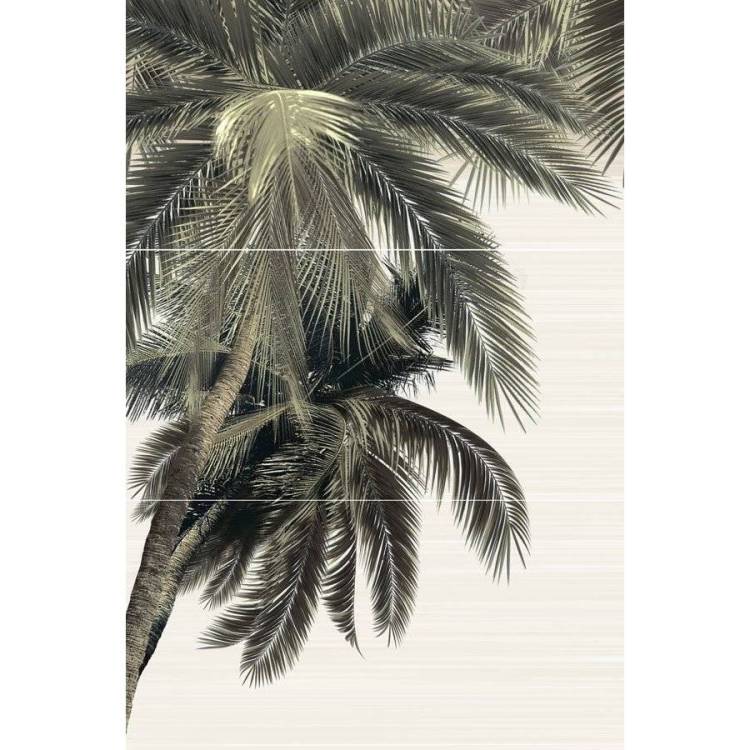 Панно Alma Ceramica Del Mare PWU09DLM3 50x74.7