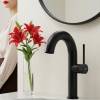 Смеситель для раковины Elghansa Radiant 1647181-Black черный фото 10