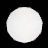Потолочный светодиодный светильник Loft IT Axel 10006/36 white фото 2