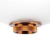 Подвесная люстра Lightstar Colore 805402 фото 5