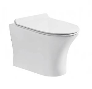 Унитаз подвесной Cerutti Spa Bernina Aria 7191 безободковый, с микролифтом