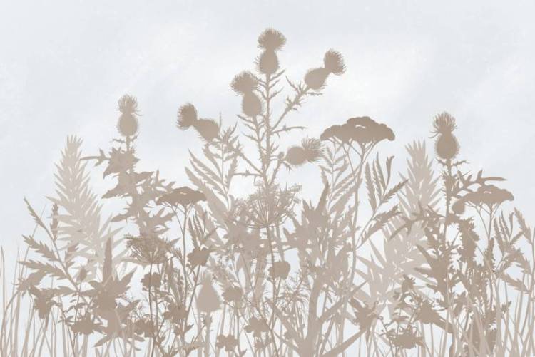 3D Фотообои Artegrafico «Светлые полевые растения в тёплых тонах» HRB-059 песок