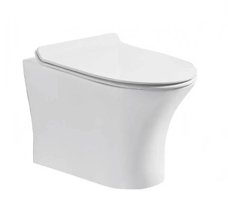 Унитаз подвесной Cerutti Spa Bernina Aria 7191 безободковый, с микролифтом