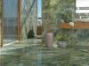 Керамогранит Etili Seramik Paradise ETI80548 Rose Onyx Polished Rec. 60x120 фото 7