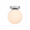 Настенно-потолочный светильник ST Luce Acini SL717.501.01
