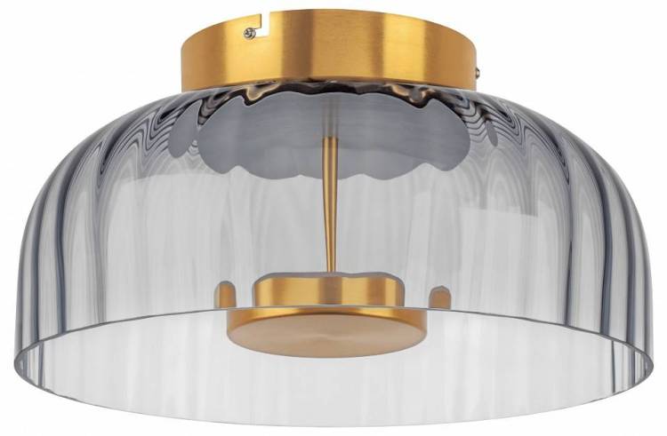 Потолочный светодиодный светильник Lightstar Celesta 809061