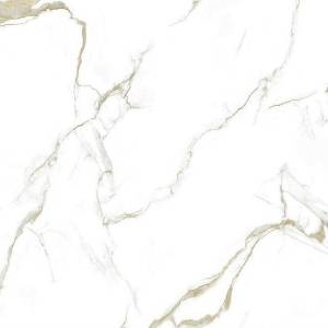 Керамогранит Pardis Ceramic Pazh 86 Helion 80x80 Керамогранит Pardis Ceramic Pazh 86 Helion 80x80
