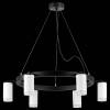 Подвесная люстра Lightstar Rullo LR0163660 фото 3