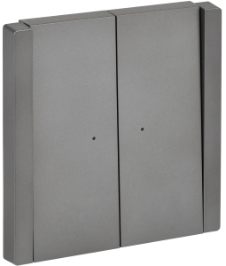 Выключатель 2-клавишный IEK Forte&Piano FP-V20-1-10-1-K46 сталь