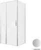 Душевой уголок Allen Brau Priority 3.31029.BA + 3.31041.BA профиль брашированное серебро, 1000x800
