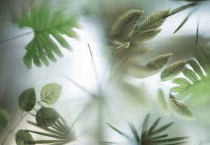 3D Фотообои Artegrafico «Лиственный гербарий за стеклом» TG-012 акварель