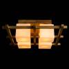 Потолочный светильник Arte Lamp Woods A8252PL-4BR фото 3