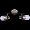 Спот Reluce 05903-0.8-02 BK+FGD фото 2