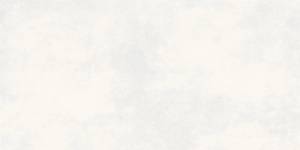 Керамогранит Buono Ceramica Clayton CVL4495M Colori Snow Matt 60x120