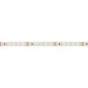 Светодиодная лента Arlight 9,6W/m 120LED/m 3528SMD теплый белый 5M 010346(2) фото 3