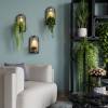 Настенный светодиодный светильник Odeon Light Exclusive Giardino 7176/3WL с полкой фото 10