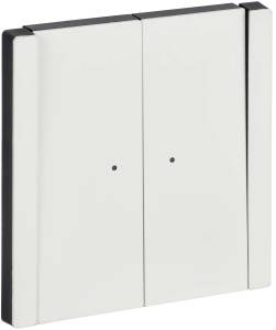 Выключатель 2-клавишный проходной IEK Forte&Piano FP-V22-1-10-1-M-K01 белый