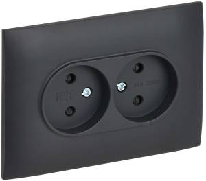 Розетка 2-местная с защитными шторками IEK Skandy SK-R23-10-K48-F титан