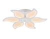 Потолочный светодиодный светильник Ambrella light Acrylica FA459 фото 2