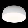 Потолочный светодиодный светильник Loft IT Axel 10201/480 White фото 5