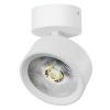 Накладной светодиодный спот Lightstar Alta Pro A5646SO