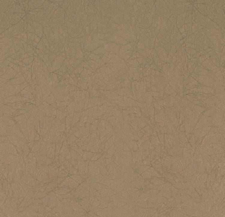 Обои флизелиновые Bernardo Bartalucci Legend 5068-65