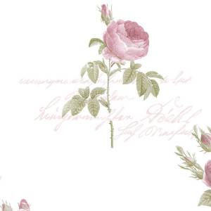 Обои бумажные Aura Rose Garden CG28820
