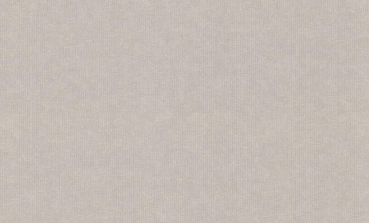 Обои Rasch Graffiti Exclusiv 910056