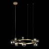 Подвесная люстра Loft IT Molecule 10139/850 фото 4