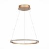 Подвесной светодиодный светильник ST Luce OUT ST604.243.22 фото 2