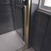Душевая дверь в нишу Veconi Premium Trento PTD30-G-150-01-C4 профиль брашированное золото, стекло прозрачное, 150x200 фото 4