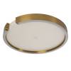 Потолочный светодиодный светильник Loft IT Ring 10026
