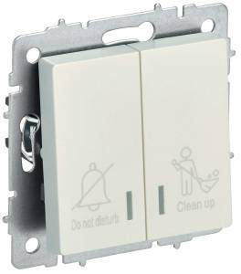 Выключатель 2-клавишный IEK Brite BR-V20-2-10-K36 жемчуг