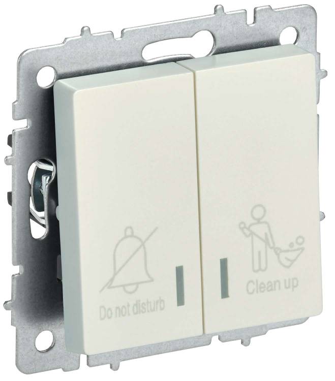 Выключатель 2-клавишный IEK Brite BR-V20-2-10-K36 жемчуг