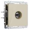 ТВ-розетка оконечная Werkel W1183043
