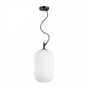 Подвесной светильник Odeon Light Pendant Roofi 4751/1