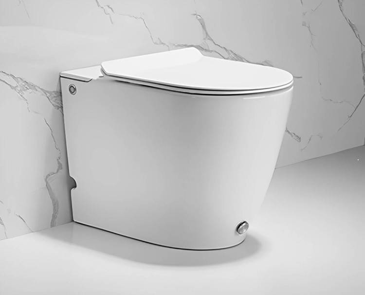 Унитаз приставной Cerutti Spa Barbaria Pulse 7264 безободковый, с микролифтом, импульсный смыв