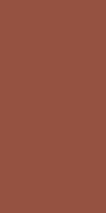 Керамогранит Ceracasa Croma Terracotta 49.1x98.2