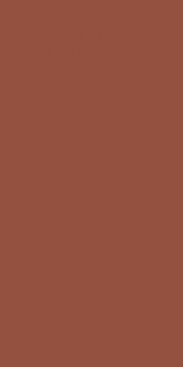 Керамогранит Ceracasa Croma Terracotta 49.1x98.2