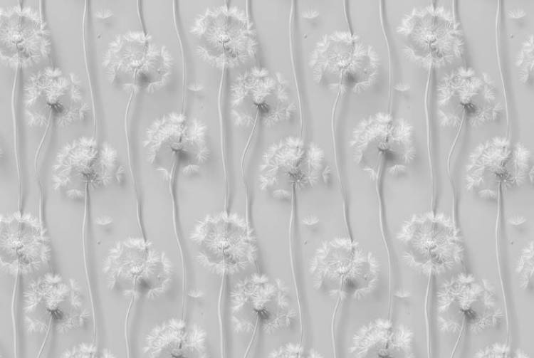 3D Фотообои Artegrafico «Одуванчики 3d» VL-014 акварель