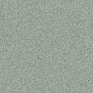 Транспортное ПВХ покрытие Tarkett Primo Plus M (Примо Плюс М) 311 (рулон: 2x23=46 м2)