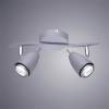 Спот Arte Lamp Regista A1966AP-2GY фото 2