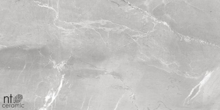 Керамогранит NT Ceramic Quanta Grey NS612NTT9026L Slate Grey 60x120