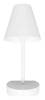 Настенный светильник Loft IT Shelf 10216/1W White фото 5