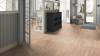 Паркетная доска Tarkett (Таркетт) Tango 550058034 Oak Mocha Dg 2215x164x14 фото 2