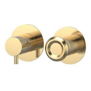 Смеситель для душа Remer Element ET93ZPBG брашированное золото