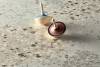 Керамогранит 41ZERO42 Superclassica SCG 4101141 Grooved 60x120 фото 16