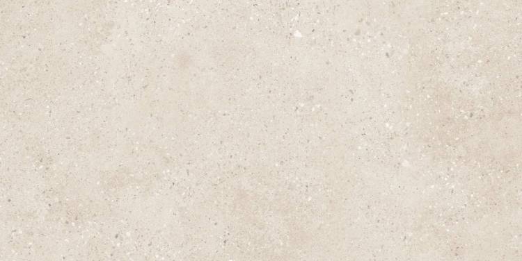 Керамогранит Buono Ceramica Terrazzo THS4804M Light Ivory Matt 60x120