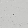 Линолеум Forbo Surestep Star 176422 Trout (рулон: 2x25=50 м2)