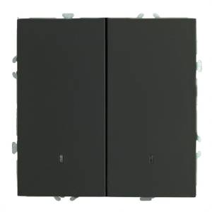Выключатель 2-клавишный с индикатором Stekker RSW10-5102-05 49838